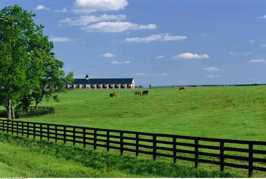 美国农场风景图片壁纸