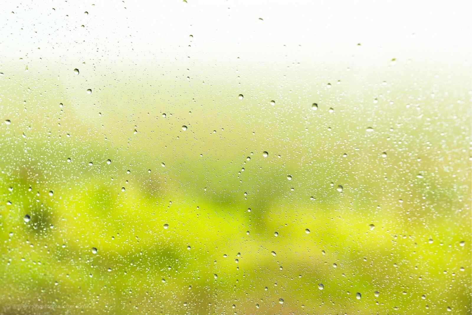 朦胧唯美的雨后农场风景图片