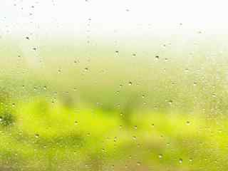 朦胧唯美的雨后农场风景图片