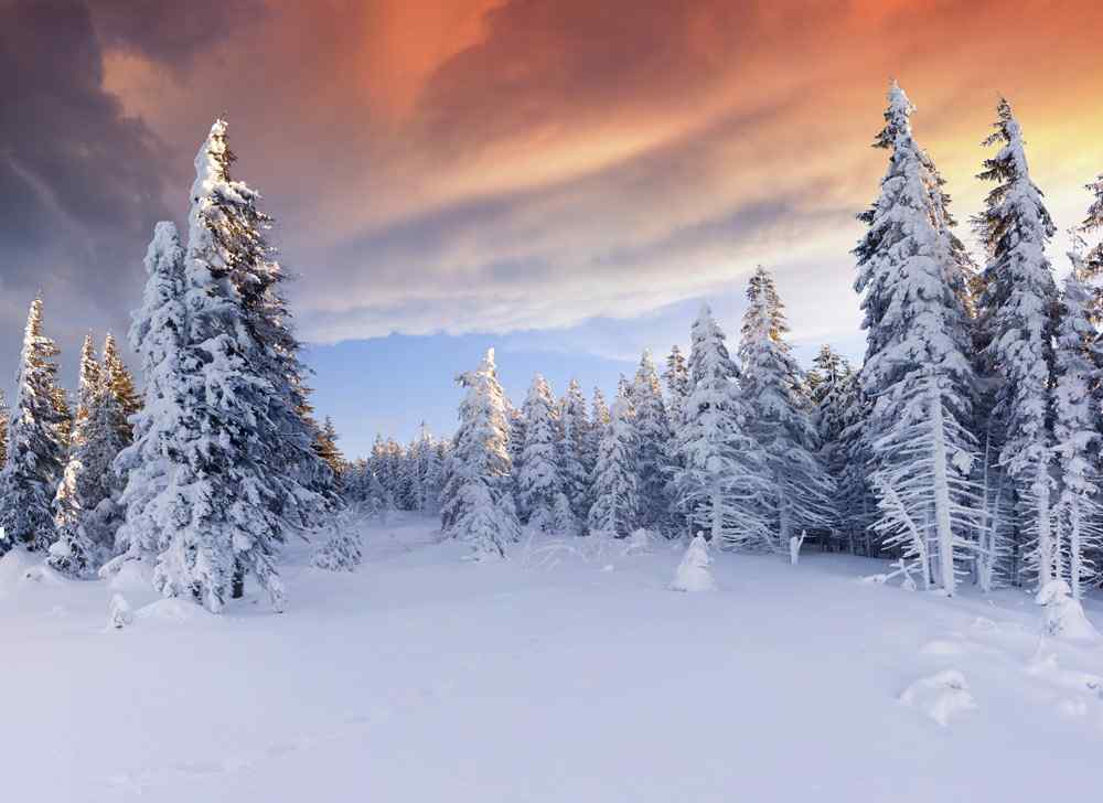唯美的雪地风光高清图片壁纸