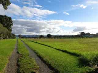 新西兰秀美的农场风景图片