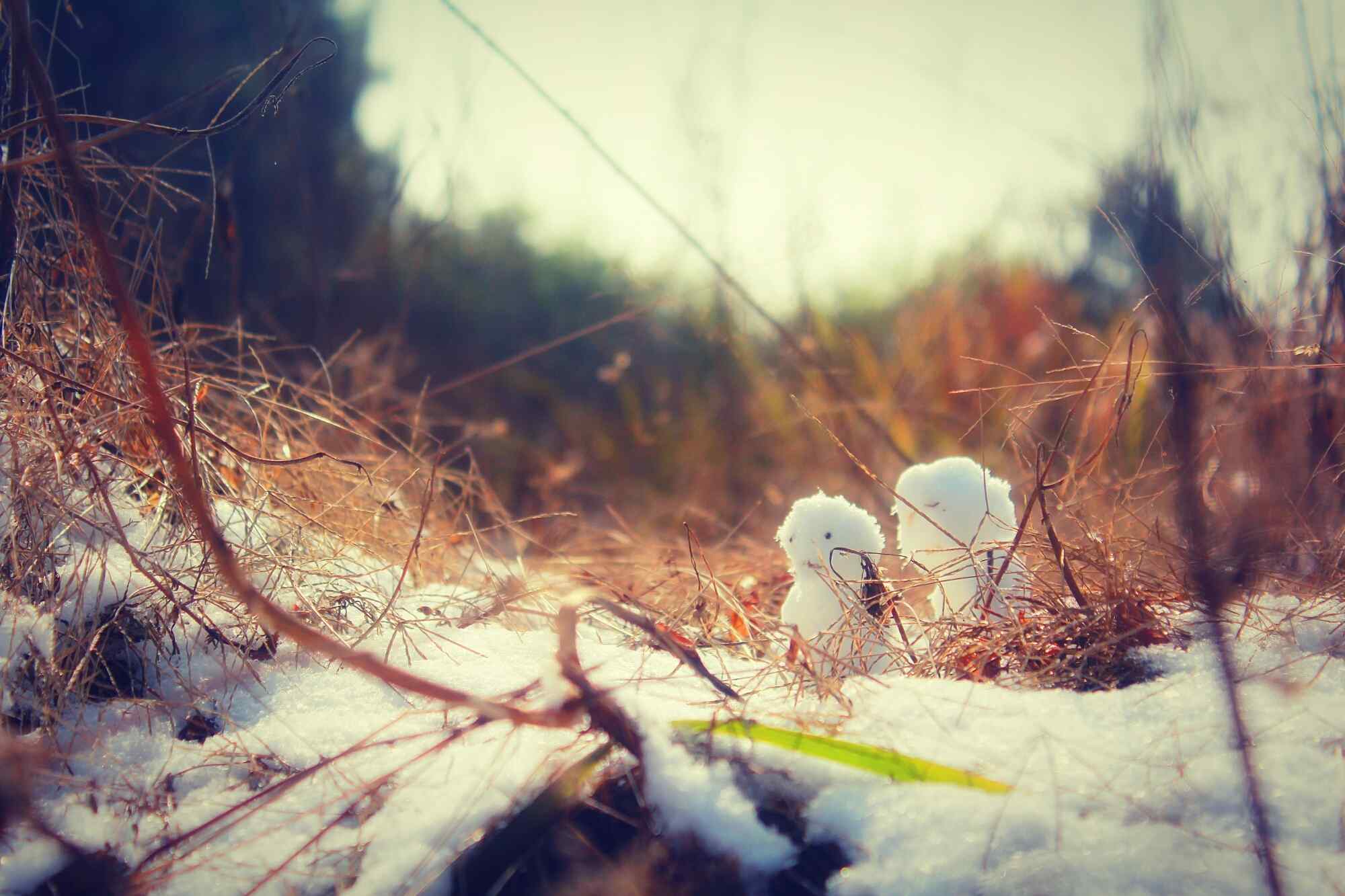 冬日森林里可爱的小雪人桌面壁纸