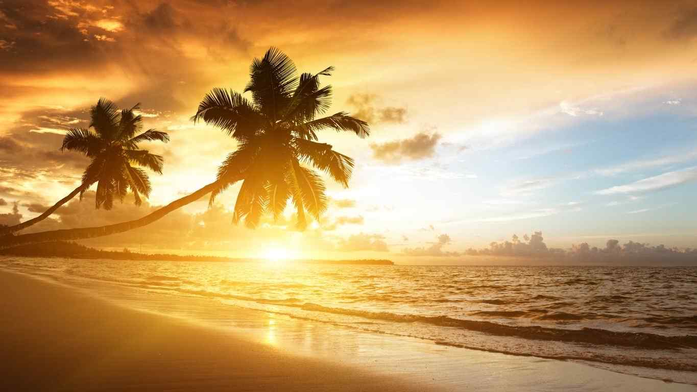 沙滩椰树超好看唯美风景图片高清桌面壁纸