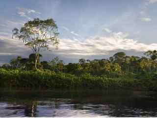 亚马逊河流秀美风