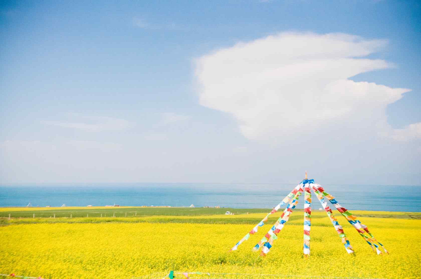 宁静的青海湖油菜花风景图片