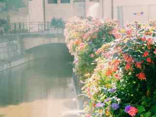 法国安纳西小镇花与阳光风景图片桌面壁纸