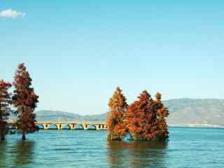 洱海唯美湖边风景