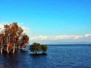 洱海清澈湖面风景