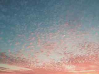 唯美粉色夕阳天空