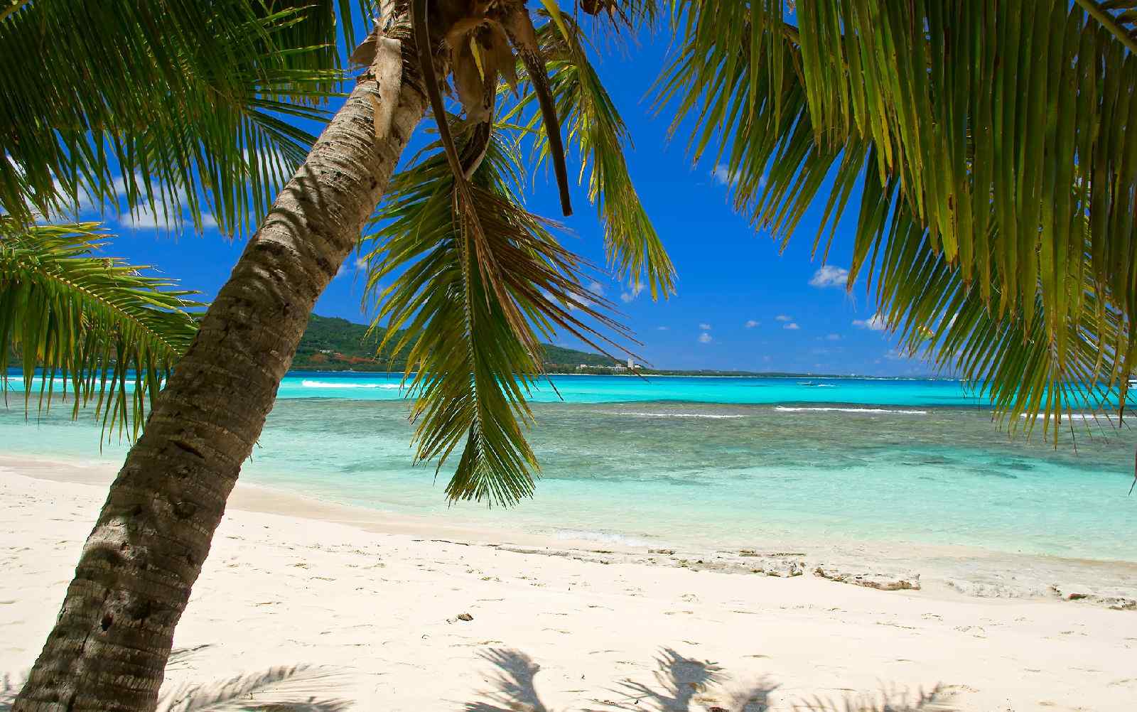 塞班岛热带树下海洋沙滩唯美风景图片高清桌面壁纸