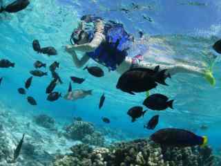 塞班岛海洋潜水与海洋鱼类同游图片高清桌面壁纸