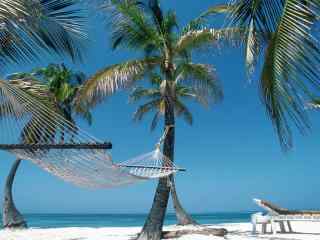 普吉岛唯美热带树木吊床图片高清桌面壁纸