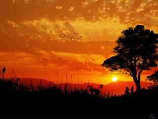 火红唯美的夕阳风景图片