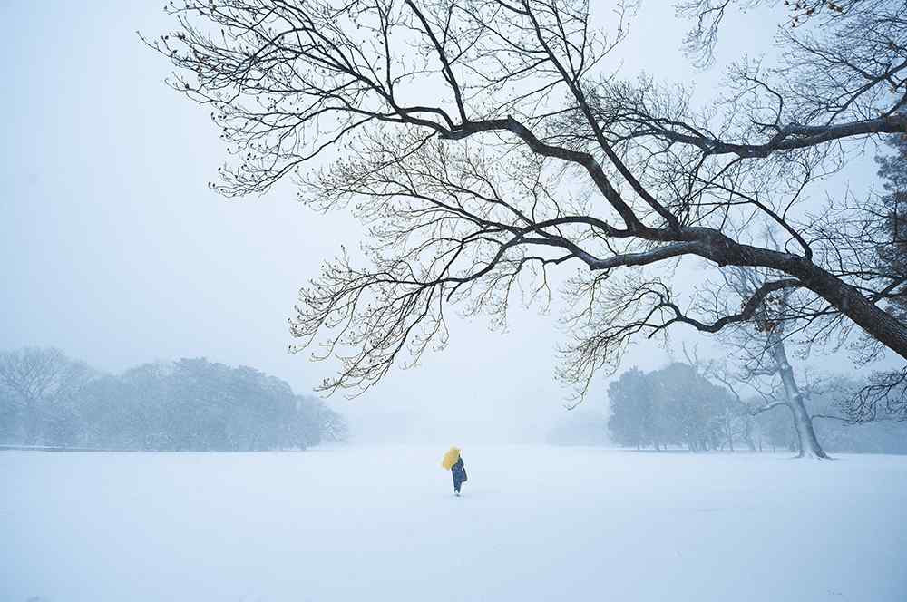 唯美日本雪景图片高清桌面壁纸