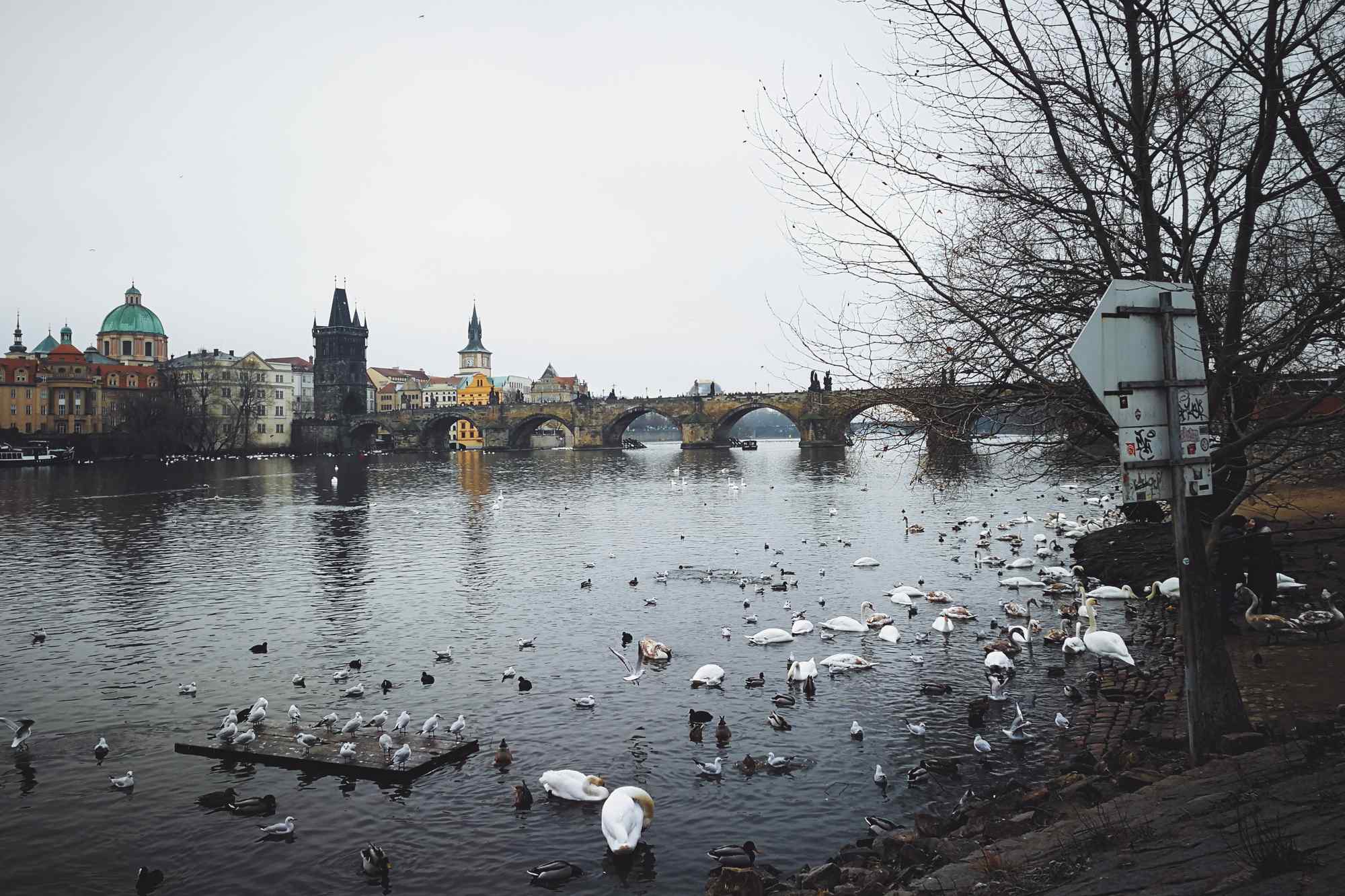 布拉格伏尔塔瓦河畔唯美风景图片高清桌面壁纸