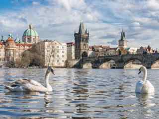 布拉格伏尔塔瓦河畔美丽风景图片高清桌面壁纸