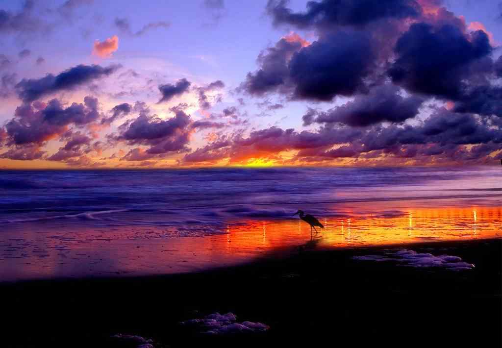灿烂的大海晚霞风景图片