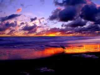 灿烂的大海晚霞风景图片