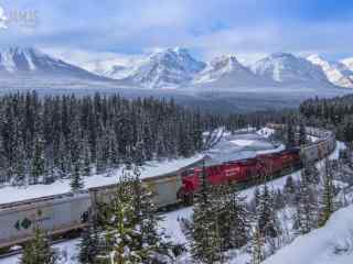 列车驶过茫茫雪海的美丽风景图片