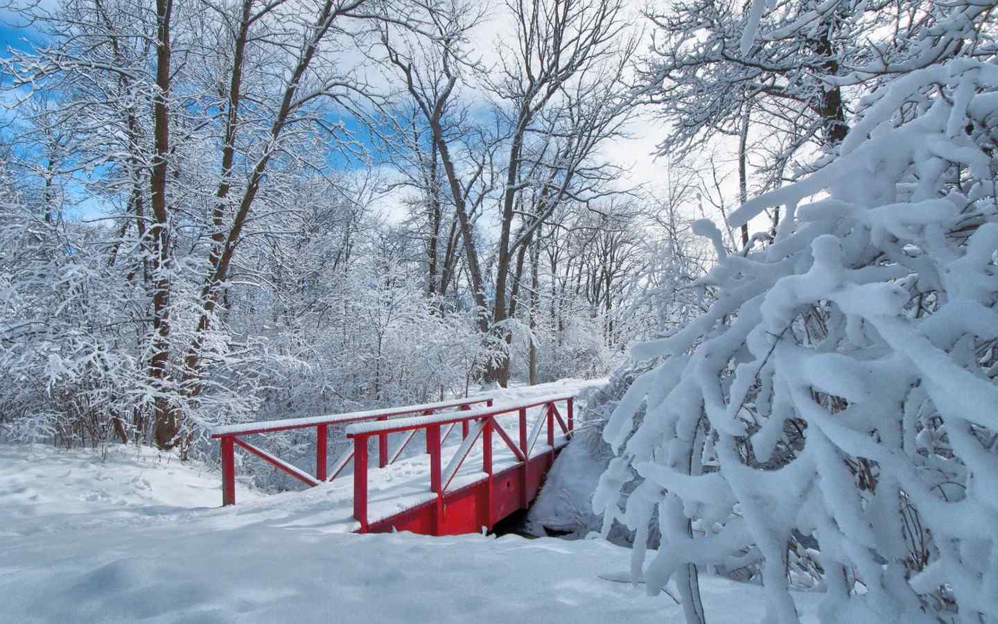 唯美的冬日雪景图片高清桌面壁纸