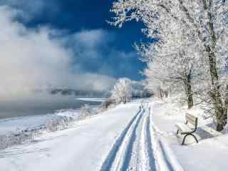 白色雪地唯美图片高清桌面壁纸