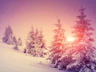 雪山上唯美的粉色日出风景图片高清桌面壁纸