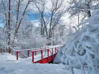 唯美的冬日雪景图