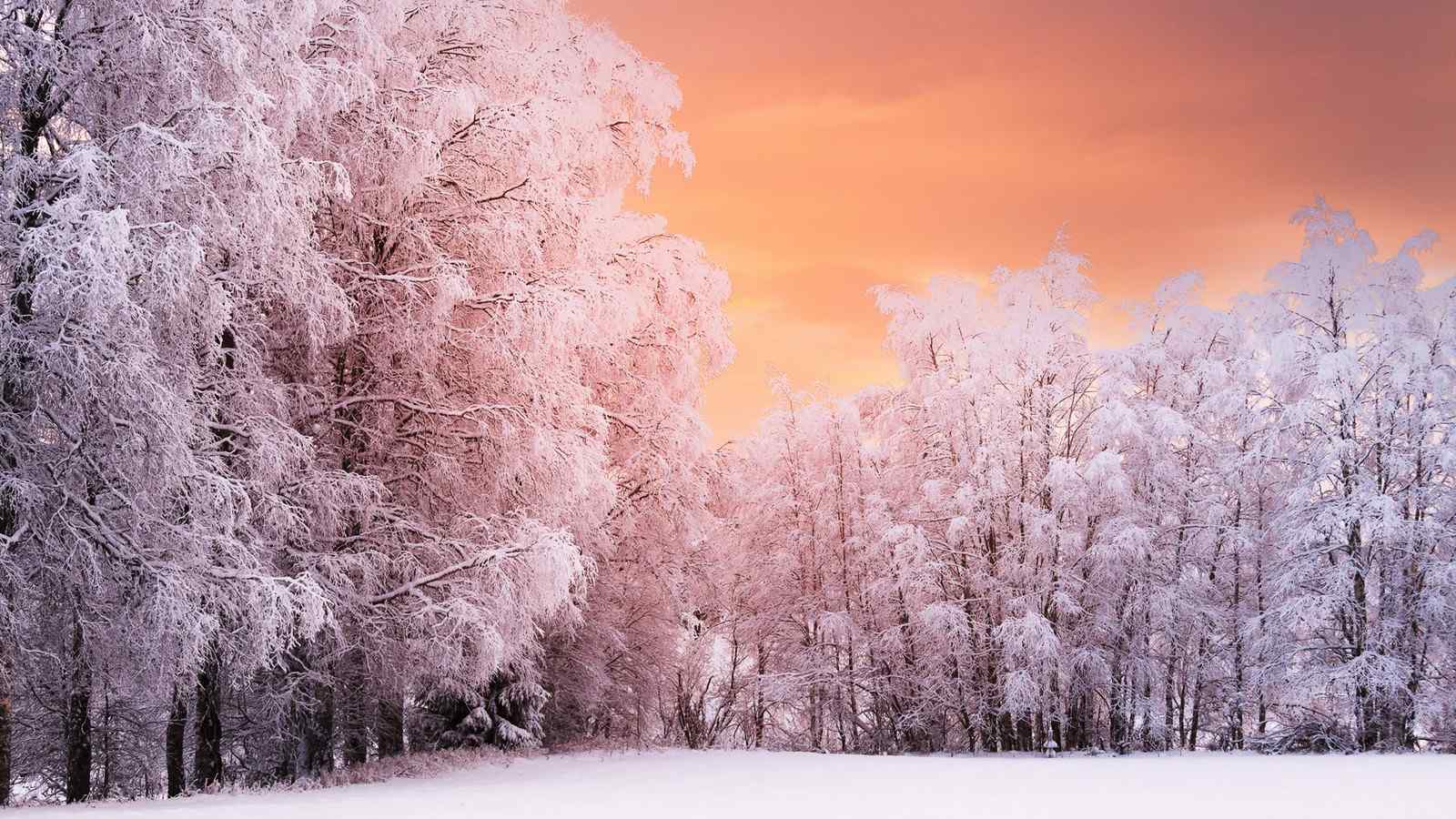 冬季雪景图片唯美粉色朝霞高清桌面壁纸