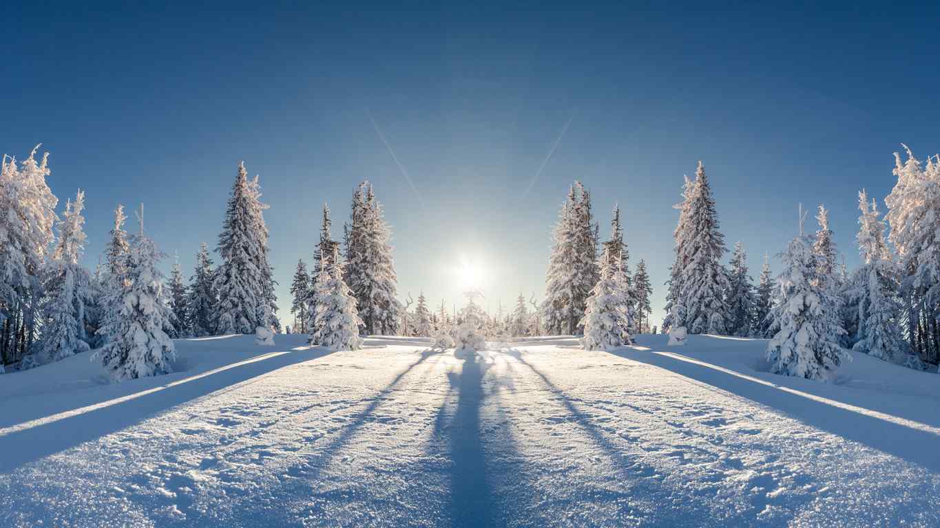 雪地里的一束阳光唯美图片高清桌面壁纸
