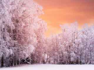 冬季雪景图片唯美粉色朝霞高清桌面壁纸