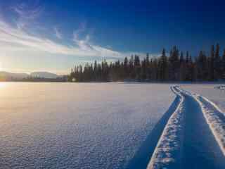 雪地里的一条小路绝美风景图片高清桌面壁纸