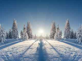 雪地里的一束阳光唯美图片高清桌面壁纸