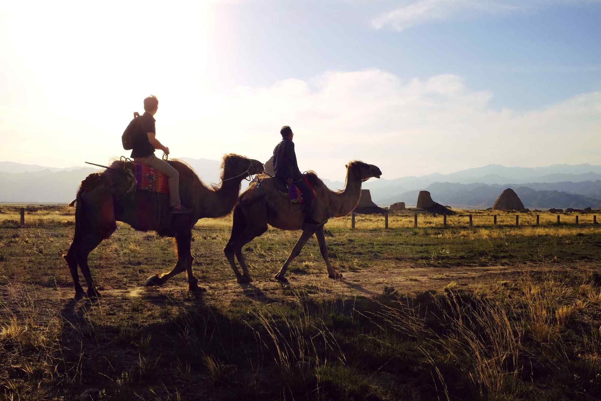 西夏王陵骑骆驼的人图片