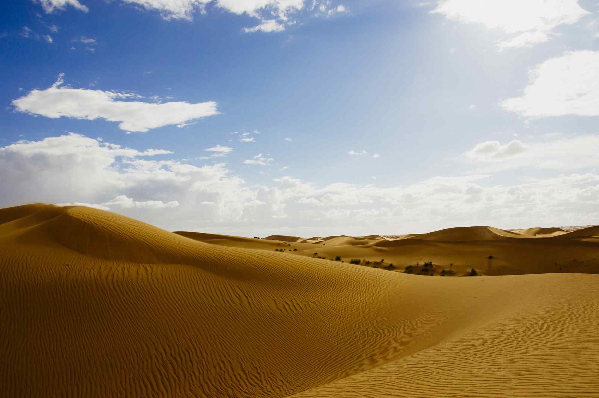 宁夏特色沙漠景观图片