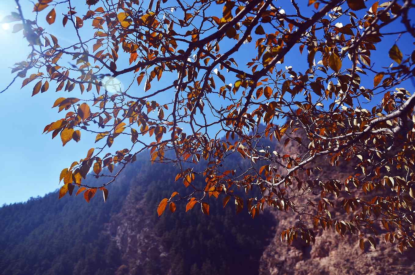 贺兰山脉深秋唯美风景图片