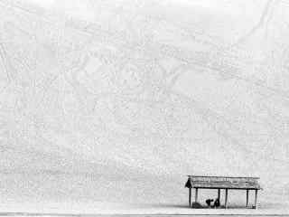 宁夏沙漠中的茅草亭黑白摄影图片