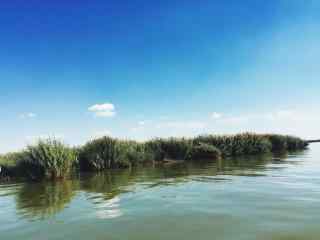 唯美沙湖绿色湖泊