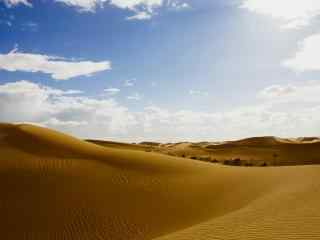 宁夏特色沙漠景观图片