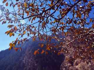 贺兰山脉深秋唯美风景图片