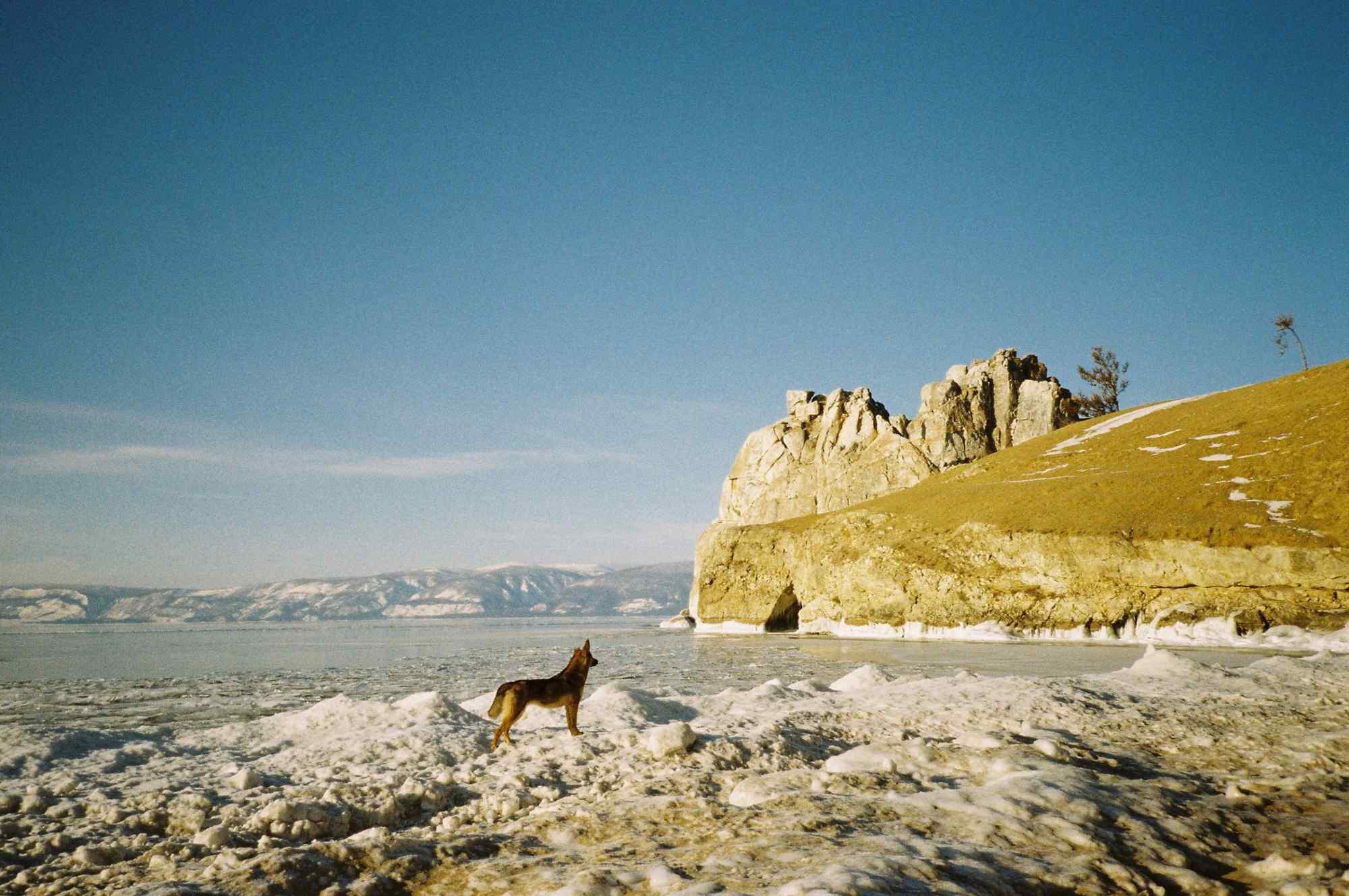 冬季萧条的贝加尔湖畔风景图片
