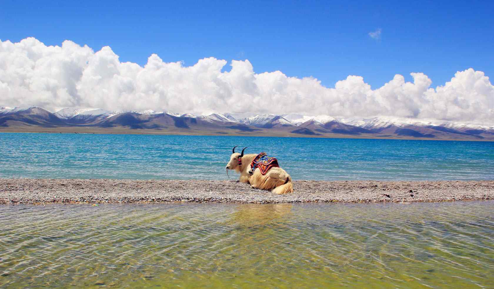 西藏圣湖纳木错湖小清新风景图片