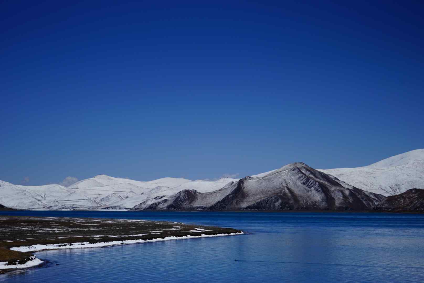 冬季羊湖高原雪山风景图片