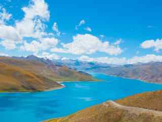 西藏羊湖蓝天白云下的碧蓝湖水风景图片