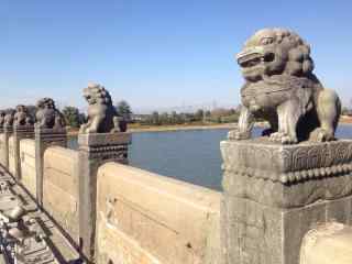 卢沟桥上的可爱狮子风景图片