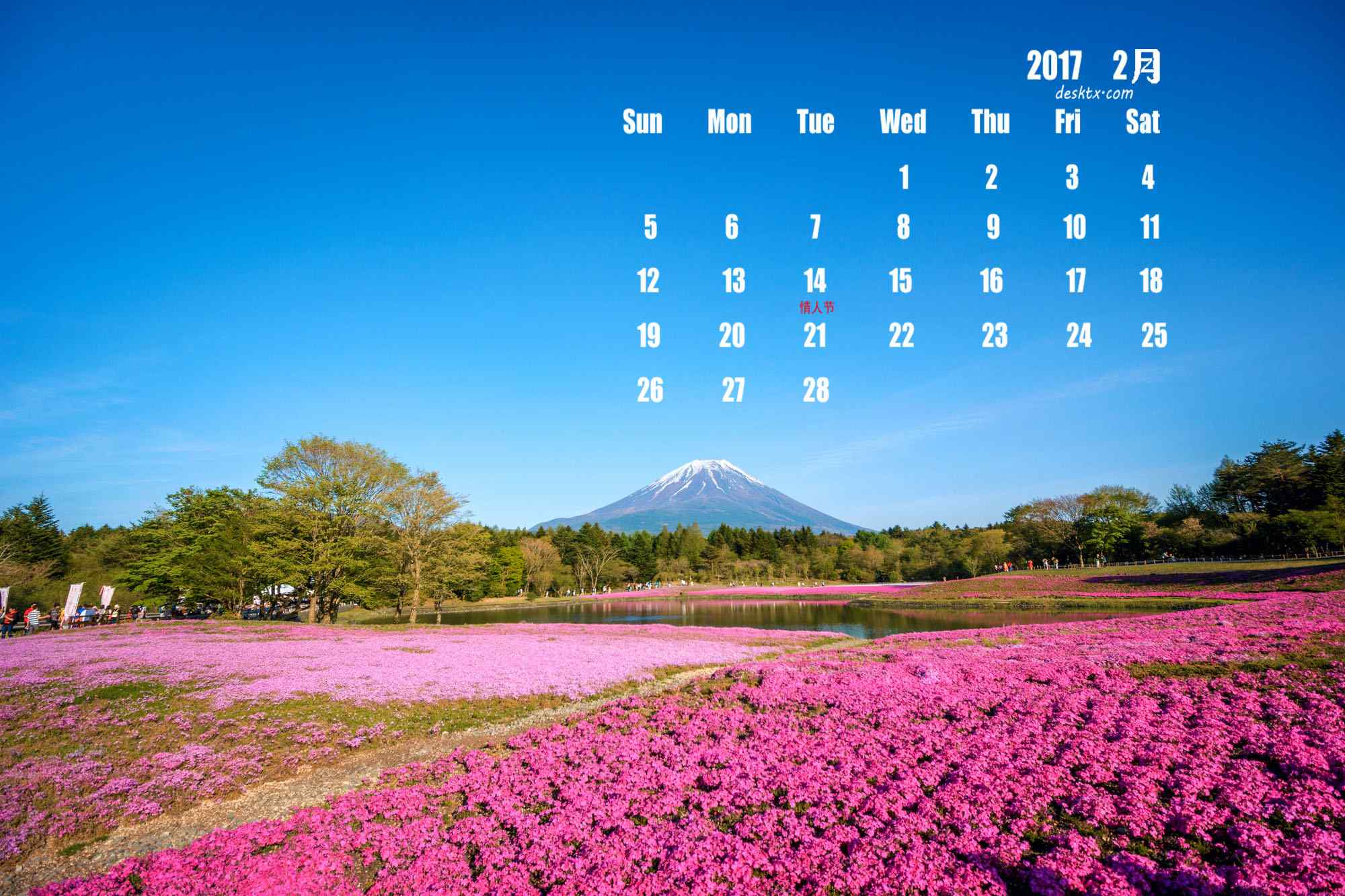 2017年2月日历之富士山下的花海图片