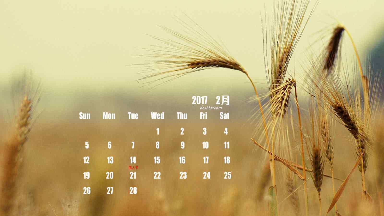 2017年2月日历之唯美麦穗风景图片
