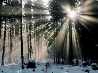 唯美雪地中的曙光风景图片
