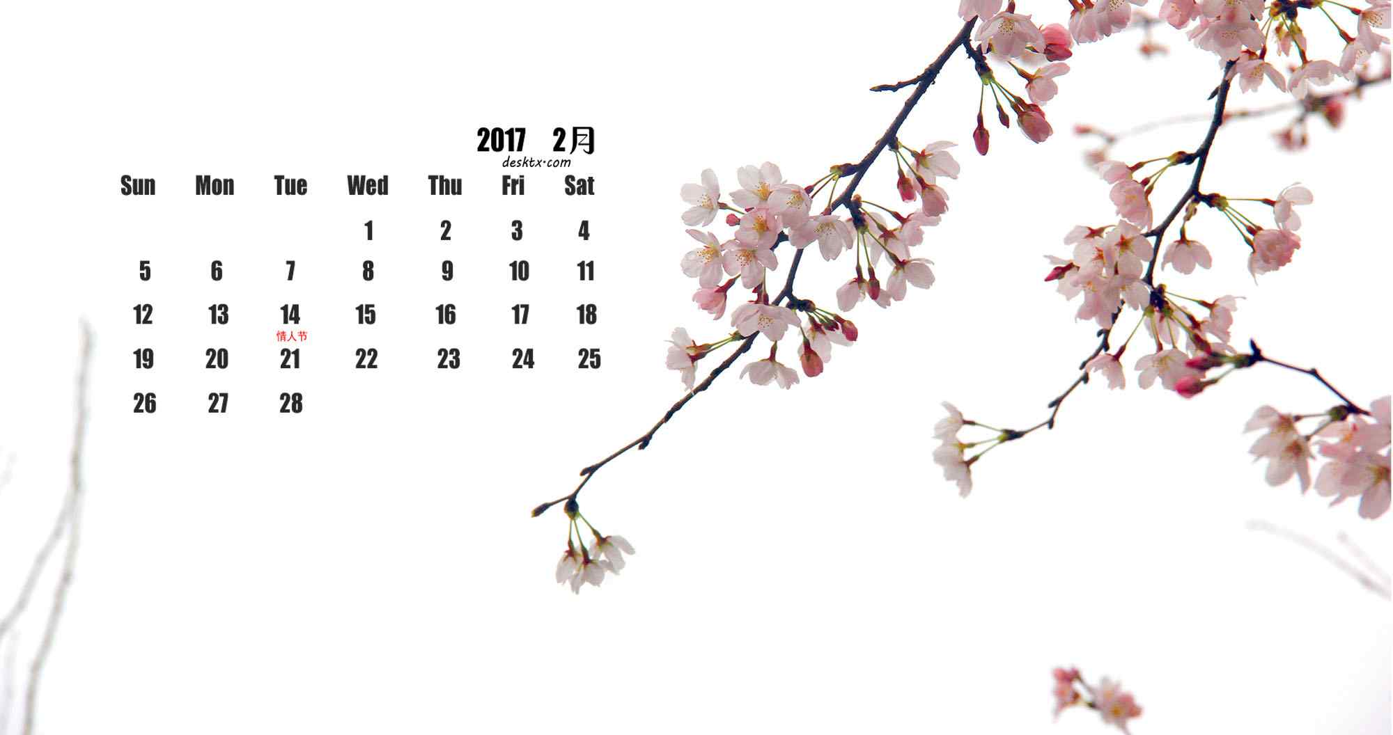 枝头上的美丽樱花2017年2月日历壁纸