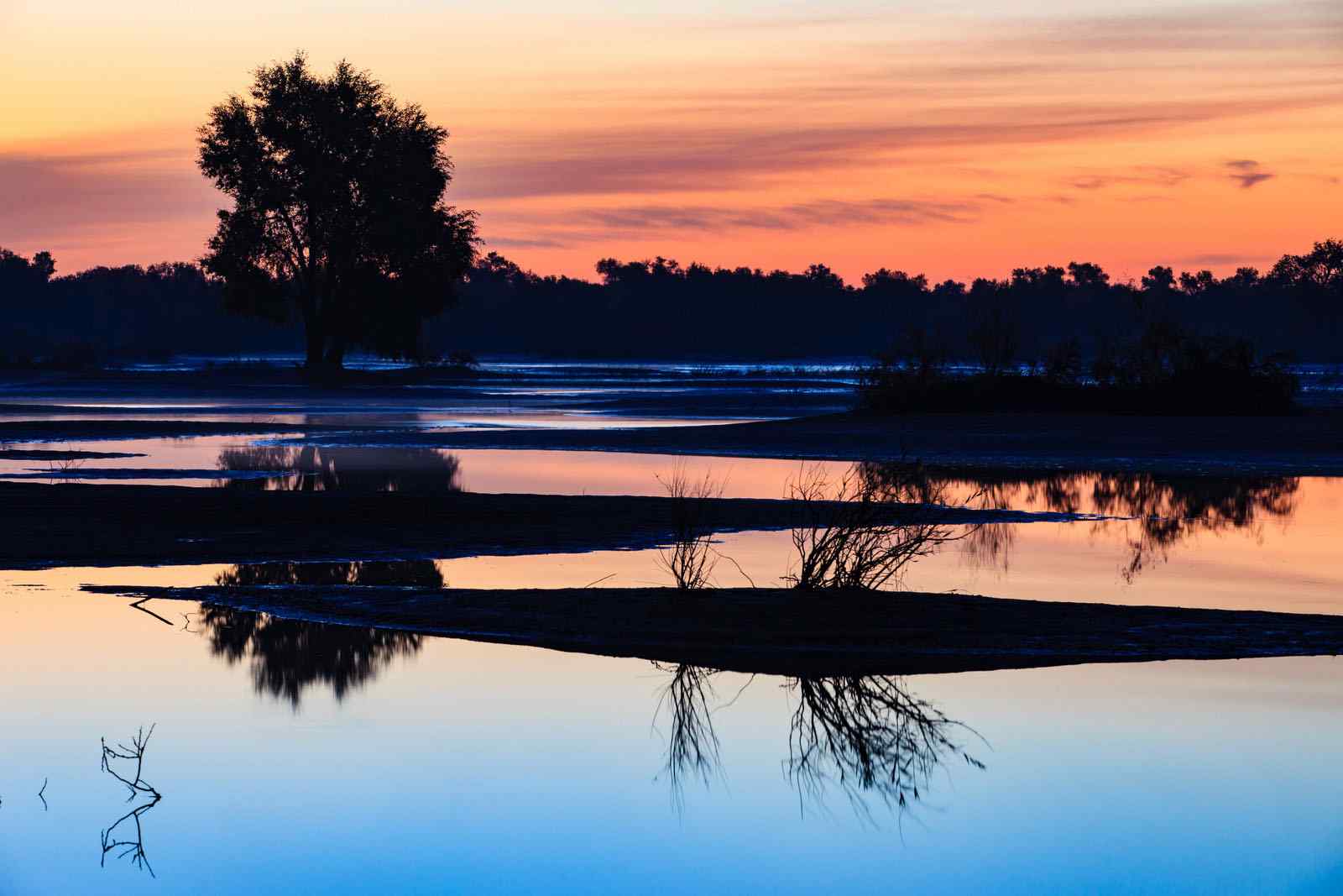 塔里木河沿岸唯美粉色夕阳美景图片