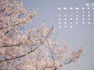 2017年2月日历之唯美的粉色樱花壁纸
